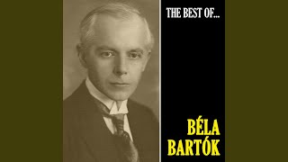 Concerto for Orchestra, Sz. 116: Elegía. Andante Non Troppo (Remastered)