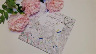 Раскраска-антистресс, "Дивосвіт" Міллі Маротта - Обзор