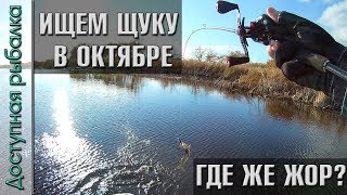 Рыбалка на щуку в конце октября | Где же ЖОР?