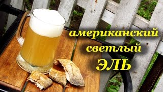 Американский светлый Эль - зерновое пивоварение