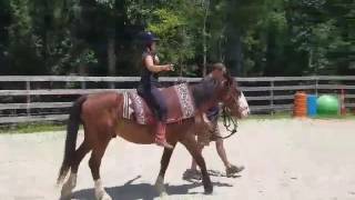 Yoga Horse Retreat Raleigh NC Yoga riding @ Bar T Ranch