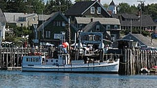 Puffin Cruise on the Laura B