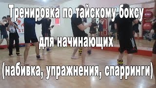 Тренировка по тайскому боксу для начинающих набивка, упражнения, спарринги