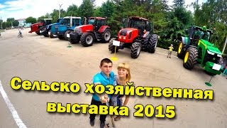 День России. 80 лет Пестравскому району. С\Х выставка Пестравка
