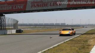 GO Squirrel GO!!! one lucky squirrel with a close call with a Lamborghini LP670-4 SV