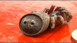 TOP 10 ANIMALES EXTREMADAMENTE RAROS