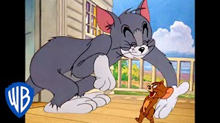 Tom y Jerry en Español | ¡Oh, amigo mío!
