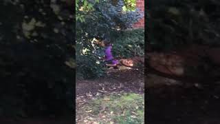 Crazy Lady Shits in Front of Apartment