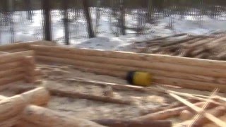 Делянка !Альбурак!. Осталось 300 кубов зимнего леса