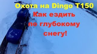 Охота на Dingo T150 || Езда с накладками || Как правильно ездить по пухлому снегу