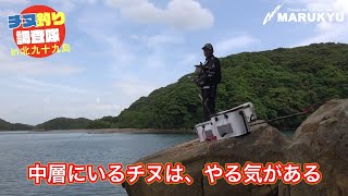 初夏の北九十九島、小林流チヌ釣りレポート 後編