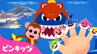 Baby Shark doo doo doo doo | Sing along with Baby shark, Finger family 他 子どもの歌 | ピンキッツ・ベイビーシャーク