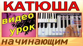 Катюша~Урок фортепиано~аккорды-ноты-текст~Katyusha~Dm