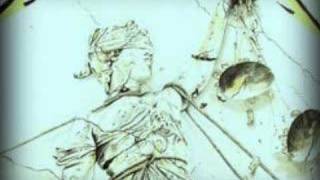 Metallica with added bass--The Frayed Ends Of Sanity