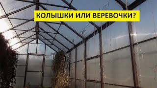 КАК ПРОЩЕ ВЫРАЩИВАТЬ ТОМАТЫ - НА ШПАЛЕРАХ ИЛИ НА КОЛЬЯХ? 