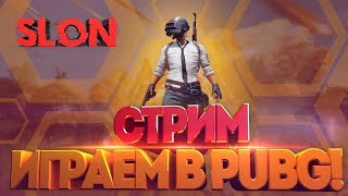 PUBG стрим ? Лето, жара, ПУБГ ? PlayerUnknown’s Battlegrounds