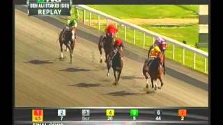 2013 Ben Ali Stakes - Successful Dan