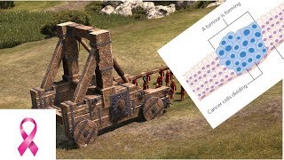 Cancer That is Artillery in Total War Arena