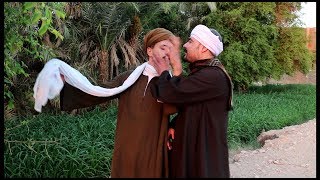 صعيدي شحات وعايز عيش فينو (ضحك حتي البكاء)