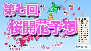 第七回桜開花予想 西日本・東日本は今週末にかけて満開ラッシュ