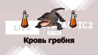Русская Рыбалка 3.99 Ловим гребня. Ночной стрим.