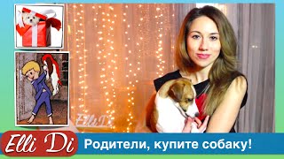 Как уговорить родителей купить собаку. Как уговорить родителей завести собаку. Как купить собаку?