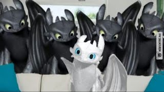 Furry Memes 21