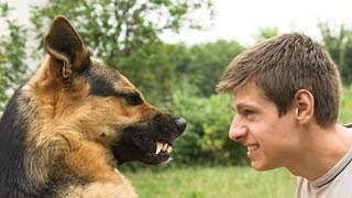 ЧЕЛОВЕК ПРОТИВ СОБАКИ. ШОК!!! САМОЕ ШОКИРУЮЩЕЕ ВИДЕО!!!