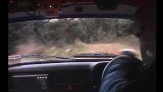 Colin McRae Forest Stages Rally 2008 - Incar Footage Stage 4