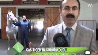 Caş TİGEM'in gururu oldu