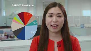 Getting to know the S&P 500 Bond Index