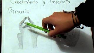 Fitorremediación Ecofisiología