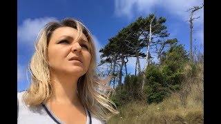 Земля потрескалась у ног. Псалмы Натальи Шевченко.
