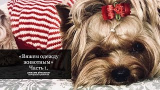 "Вяжем одежду для животных. Часть 1" - вместе с Lorraine Woolheart
