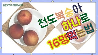 [리얼렉스TV]복숭아 자르는 방법 하나로 16조각내기 ㅈㄴ쉽게 자르기