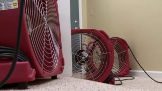 Why Choose Structural Drying Academy