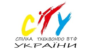 Международный традиционный 25-й турнир по Тхеквондо (WTF) Dnepr CUP 2016. День 2. Татами В