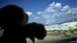 Adventure Bear Visits Japan - Mount Fuji Part 1 - Riding the Bullet Train!