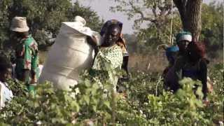 hessnatur - Bio-Baumwolle in Burkina Faso