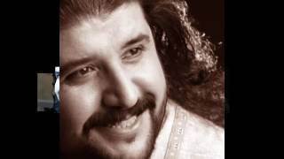 Mustafa Özarslan  - Halaylar