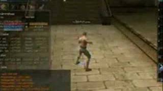 Lineage 2 cheats