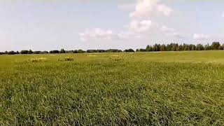Россия - ХМАО - Приобское месторождение - "Меркур" -Вахтовый посёлок.