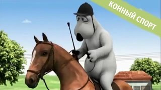 БЕРНАРД: Конный спорт