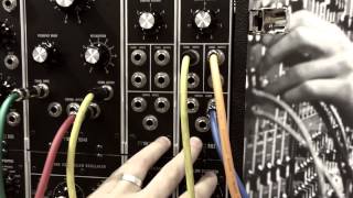 NAMM 2015 - MOOG MODEL 15 by Moog Music's Rosser Douglas.