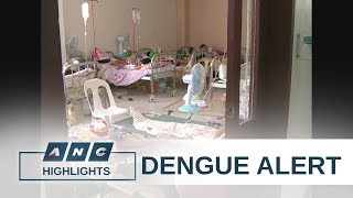 PH Health Department declares national dengue alert