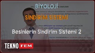 YGS-LYS BİYOLOJİ - Besinlerin Sindirim Sistemi 2