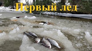 Первый лед на Рыбинском вдхр, река Ламь