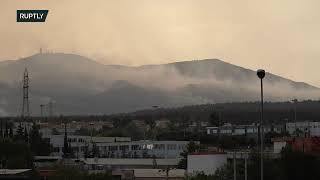 Live from Athens' suburbs as wildfires continue to spread