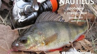 Мормышинг на реке. Ловим окуня. Дробинка (Nautilus)