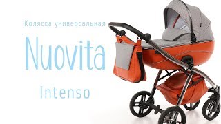 Детская коляска Nuovita Intenso 2 в 1